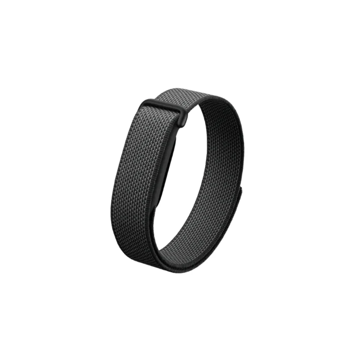 Google Fitbit Air 